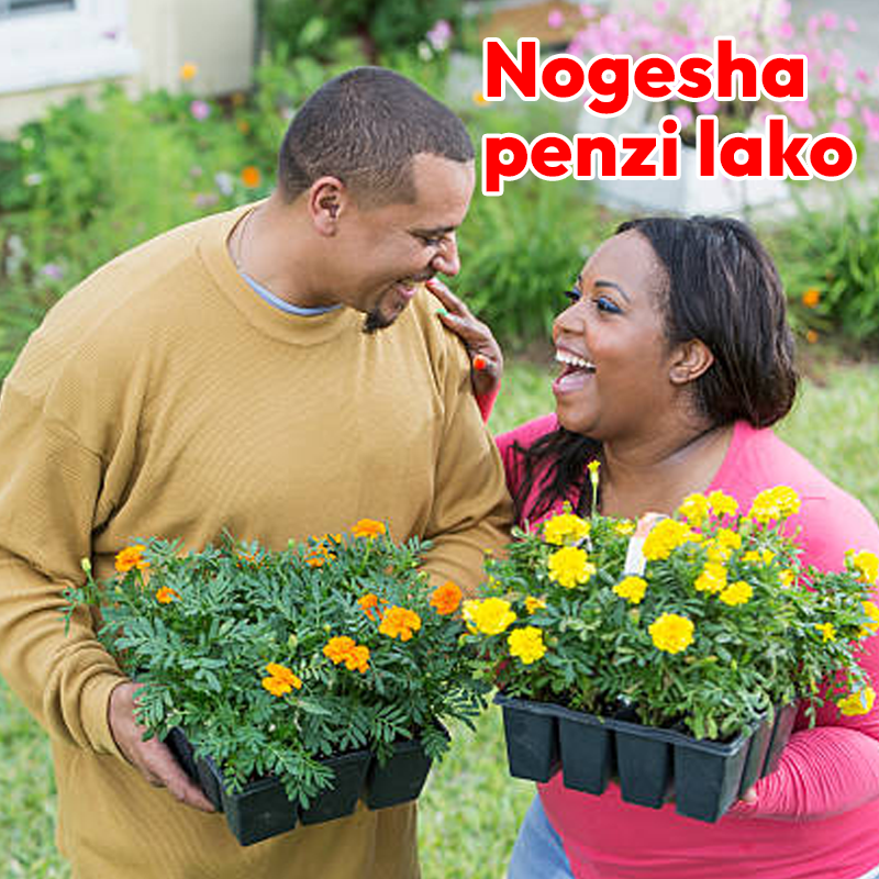 Flower Seeds 100% fast grow