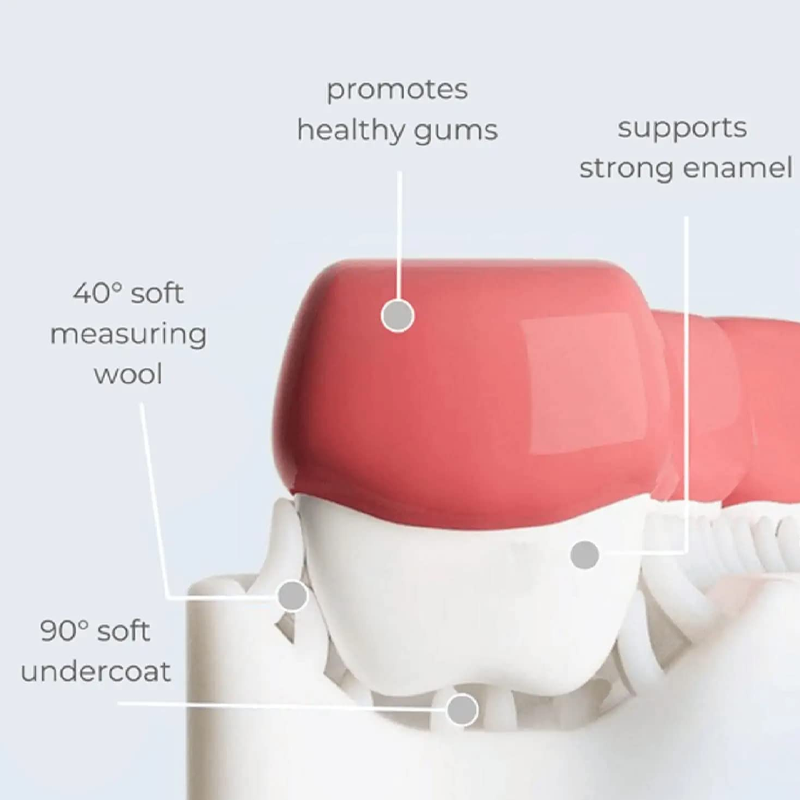 Kids Toothbrush