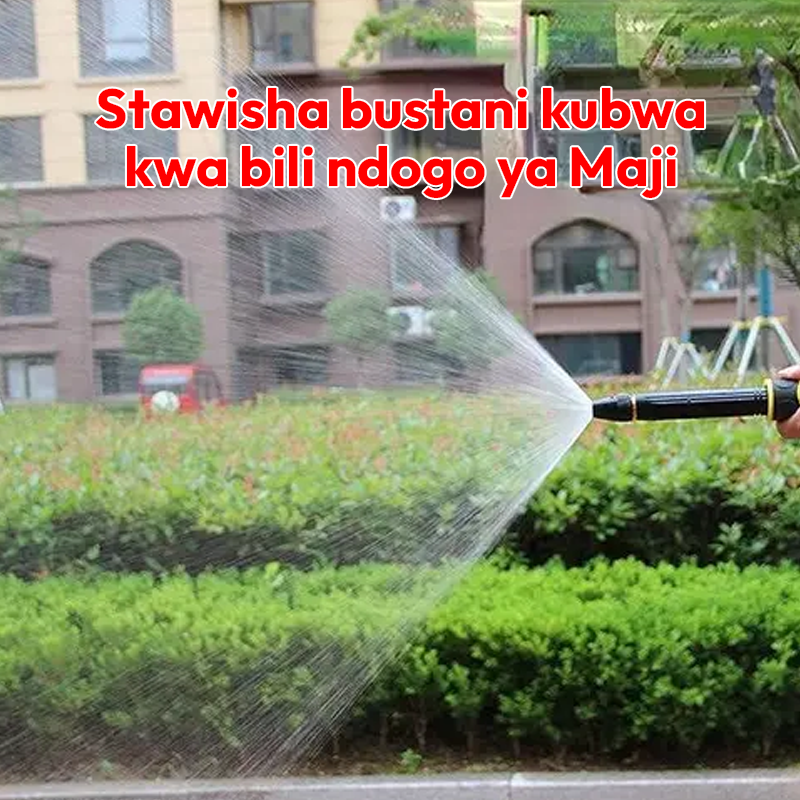Car Water Gun 100% Guarantee